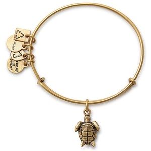 Alex and Ani Sea Turtle Textured Charm Bangle Bracelet